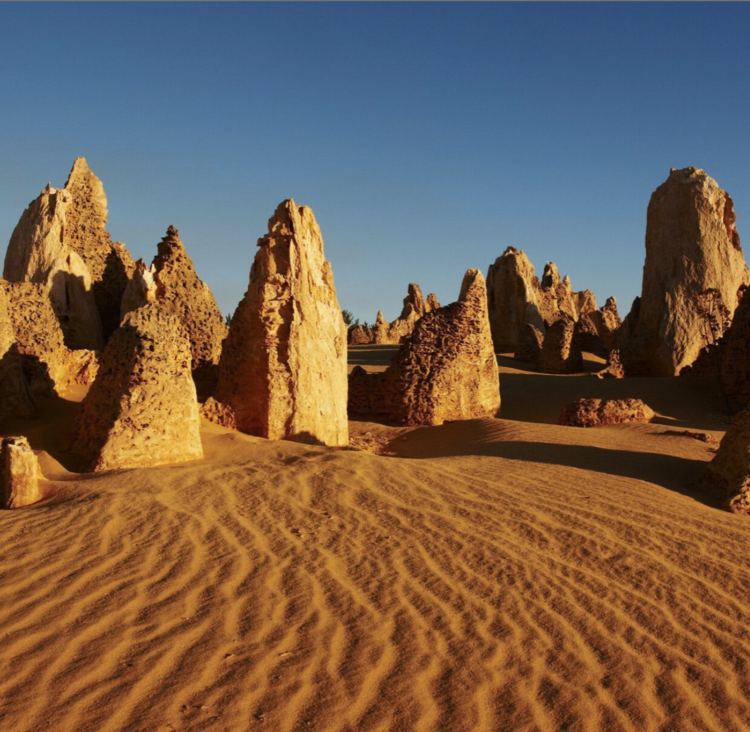 Best Pinnacles Tour from Perth